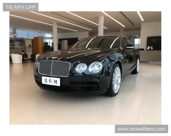 飞驰官方旗舰店：专业团队一对一服务，提供全方位购车咨询与售后保障